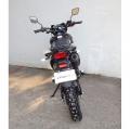  Forte CROSS 250